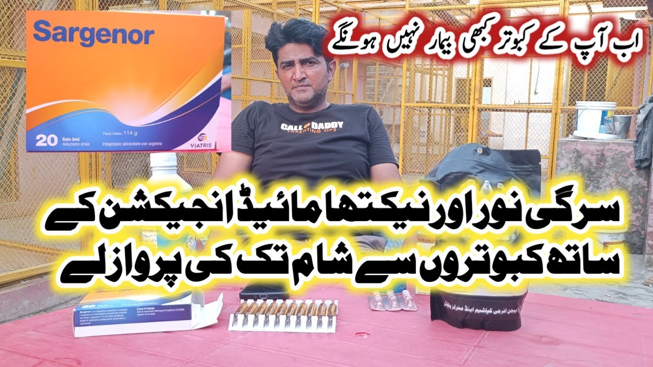 Asuj Ma Sham Tak Ki Parwaz Lay Sargi Noor Or Nakthamiad Injaction || Kasur Pigeon Shok