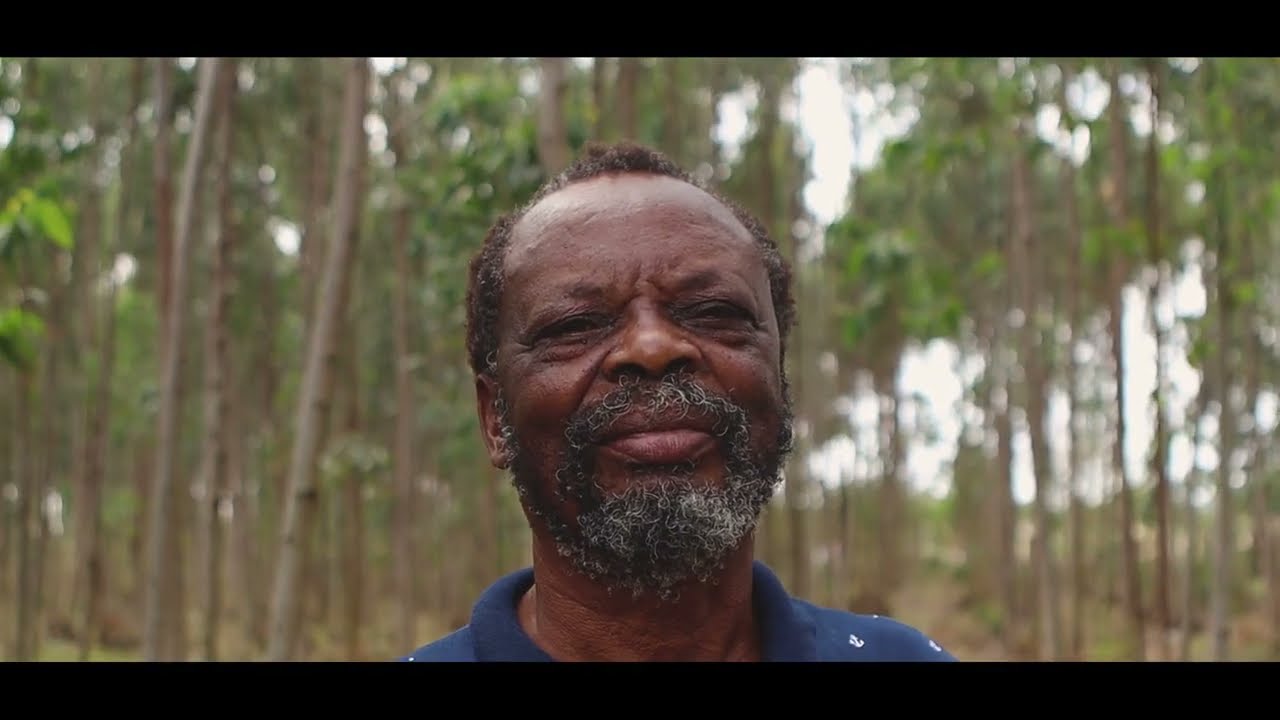 Mondi Zimele - emerging timber grower programme (long version)