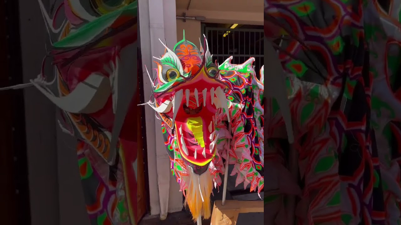 San Diego Chinese New Year Fair 2023
