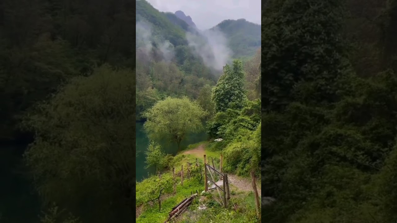 This image is peace itself,Gilan Province,Iran!!#traveliran #gilan