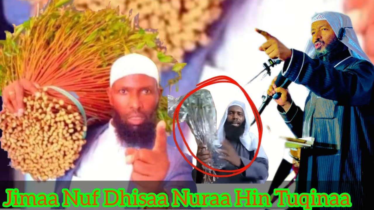 Sheikh Ali Jimmaa Ani Hawasaa Harargee Ni Jaalaladh Fi Ulamayi Isanitis 18 October 2023