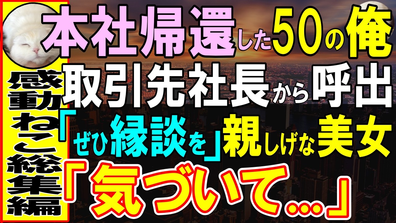 【感動する話】50歳で田舎の支社から東京本社に帰還した俺。出社直後の商談終了後、突然彼女からお見合いを頼まれ断れずに受けた結果【いい話・泣ける話・朗読】