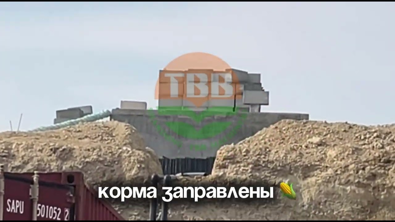 Из пустоты в современный агробизнес. Наш старт! 🏗️✨