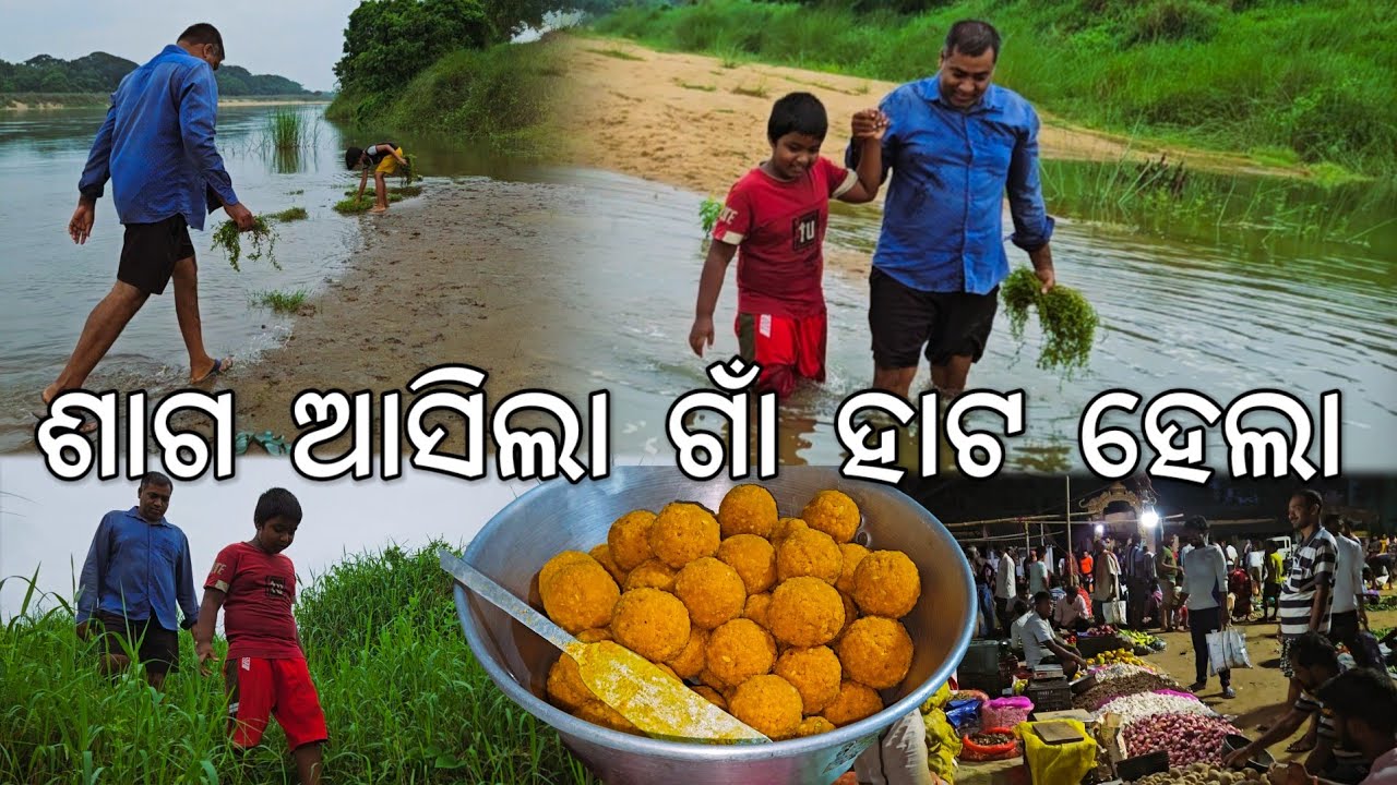 ଶାଗ ଆସିଲା ଗାଁ ହାଟ ହେଲା l Gouranga Nayak Odia Vlogs