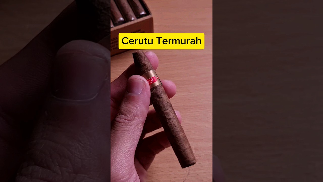 Review Cerutu Paling Murah Se-Indonesia | Havana Extra Fine