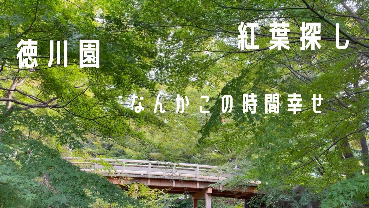 徳川園 | 紅葉探し