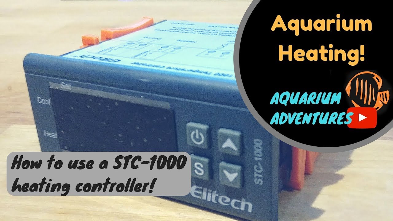 Best way to heat your aquarium - how to set up a heating controller