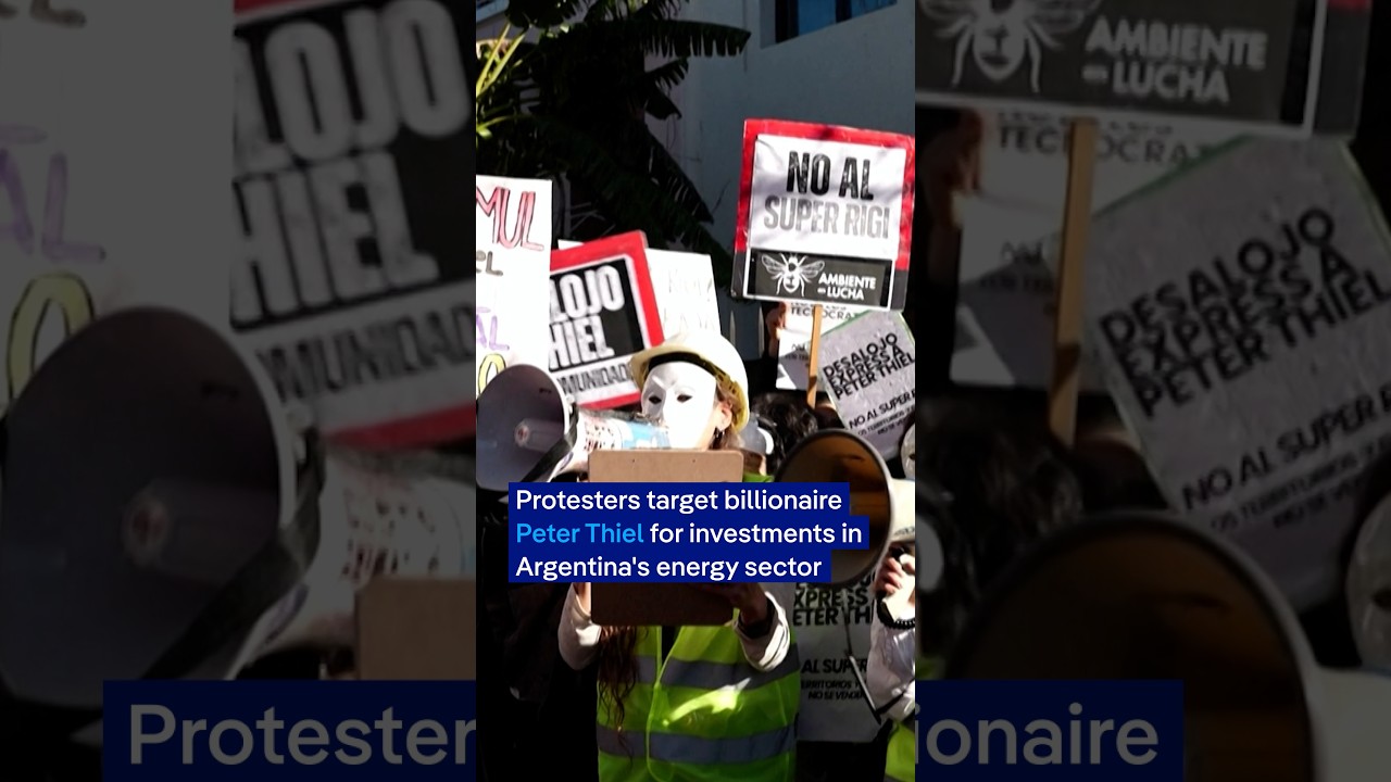 Protesters march over tech billionaire Peter Thiel&rsquo;s growing influence in Argentina | DW News