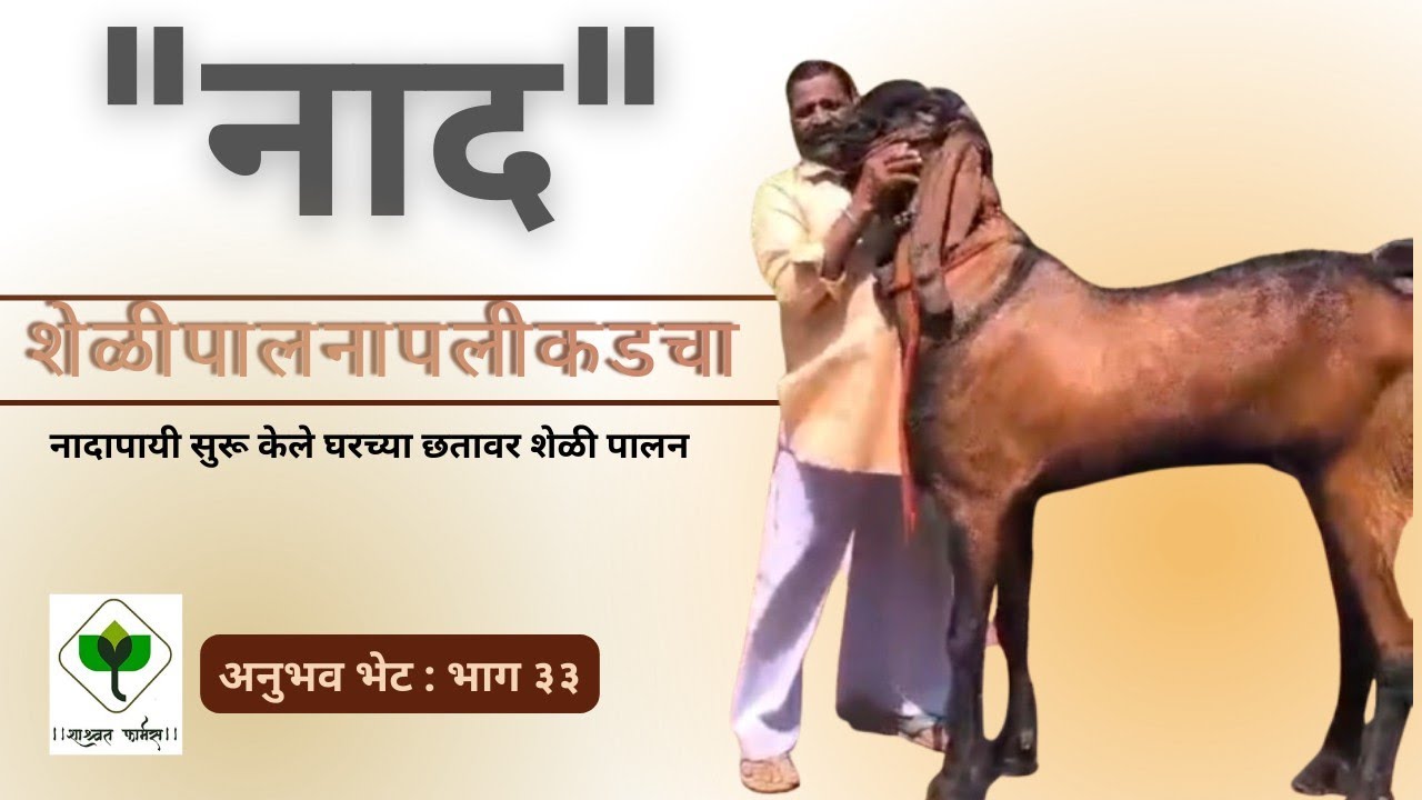 जागेचे, वयाचे बंधन झुगारून सांभाळलेला... 