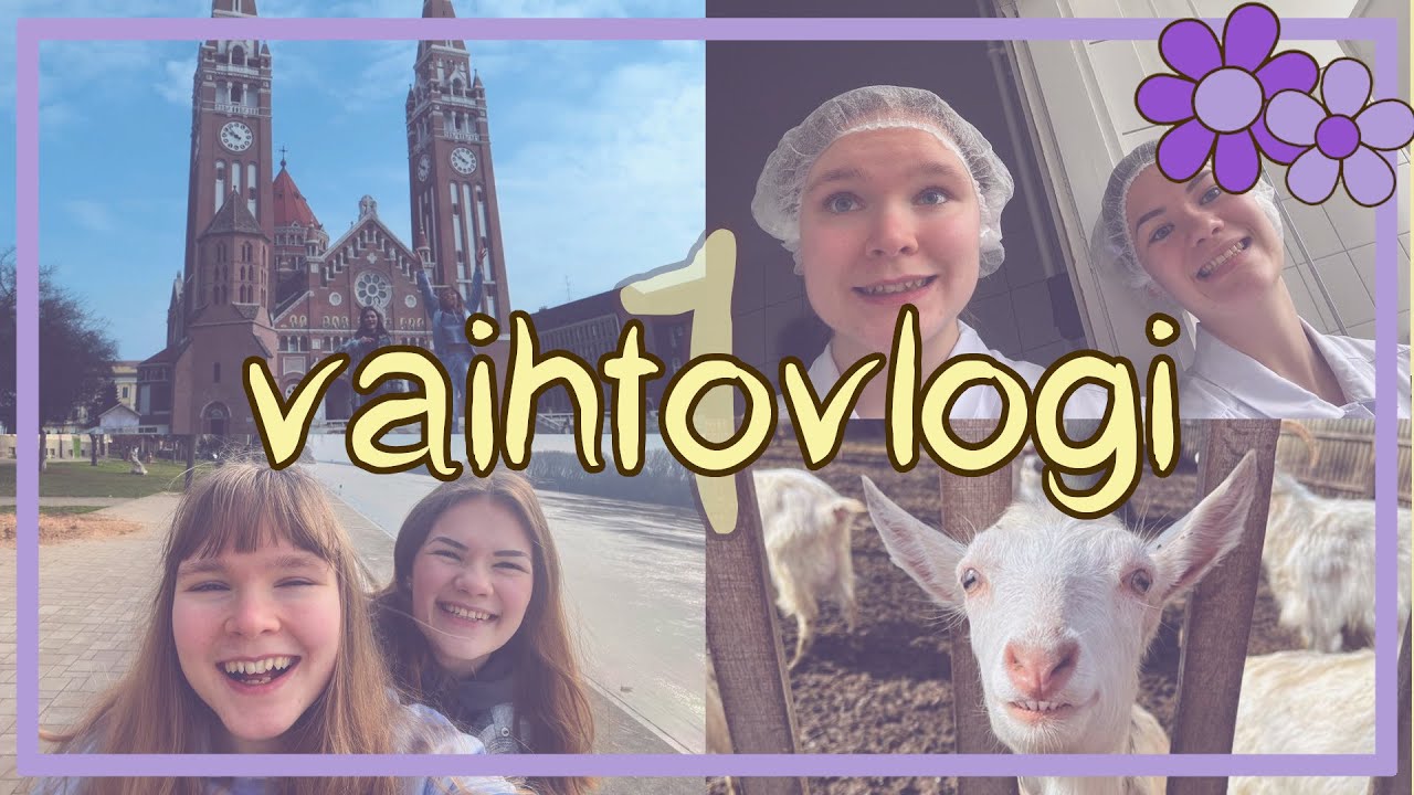 TÄÄ ALKO LUPAAVASTI... | unkari my week 1