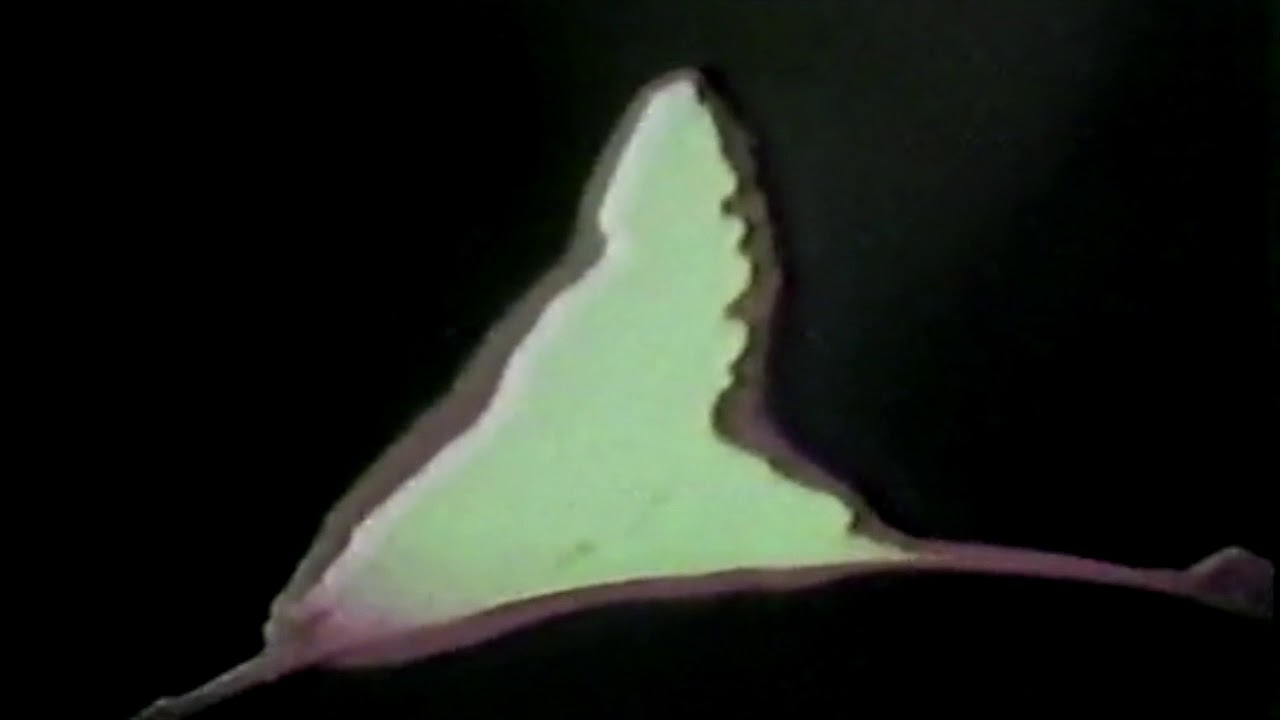Simon Mann - Hungry Ghost [Nightime Drama]