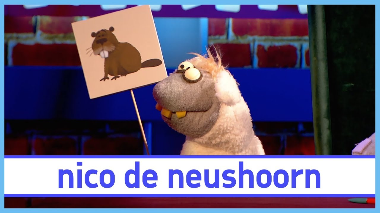 Bever en Boom - Nico de Neushoorn - De Boterhamshow