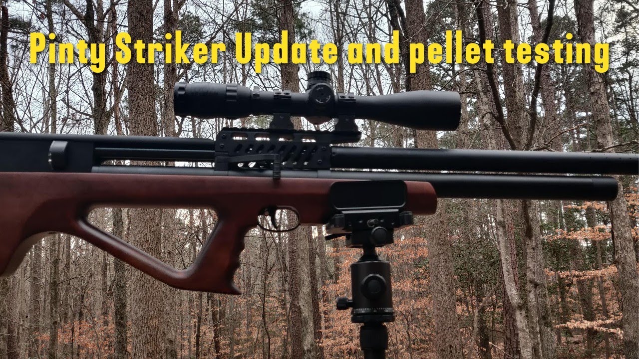 Pinty Striker Update and pellet testing