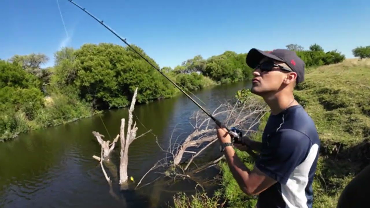 Pesca de tarariras en arroyo