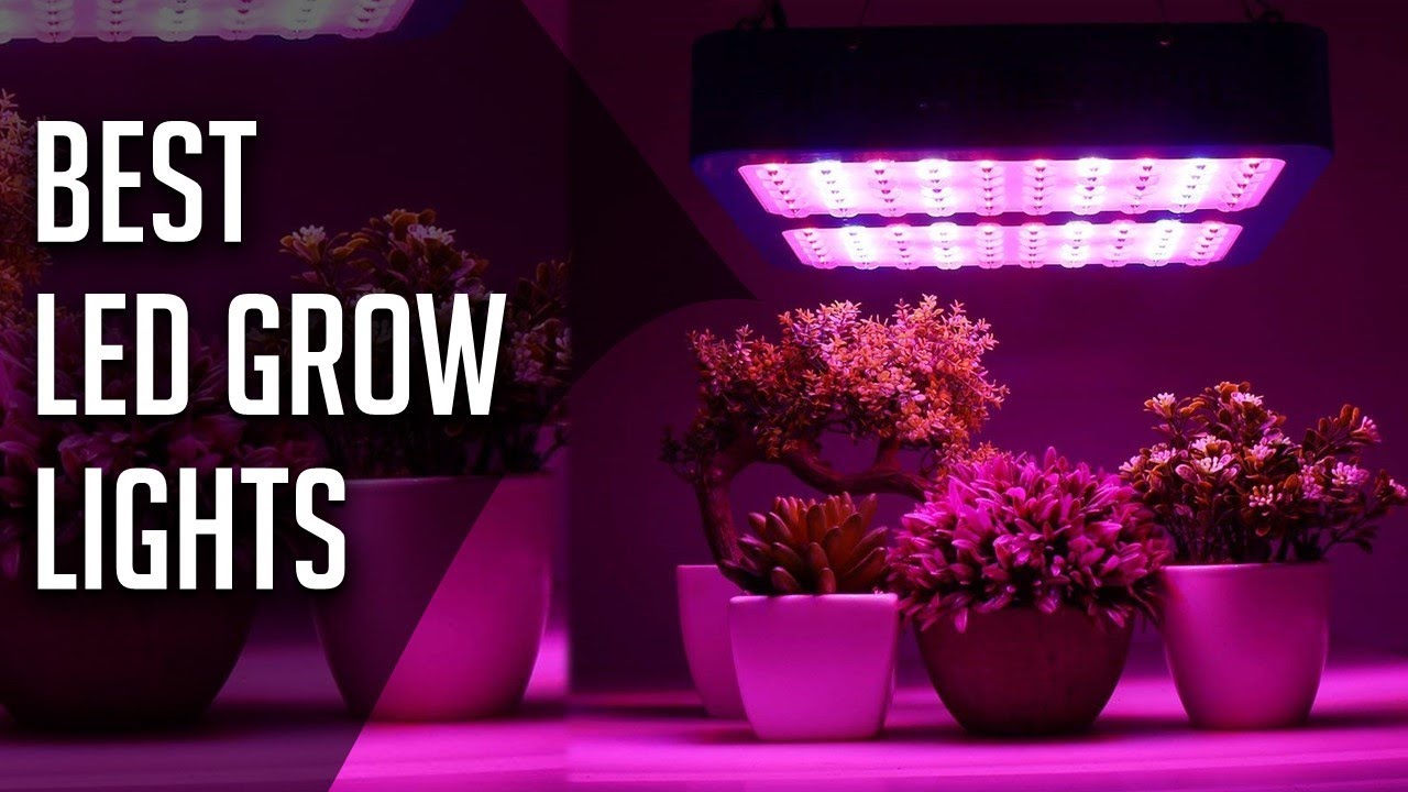 10 Best LED Grow Lights 2018 - 2019
