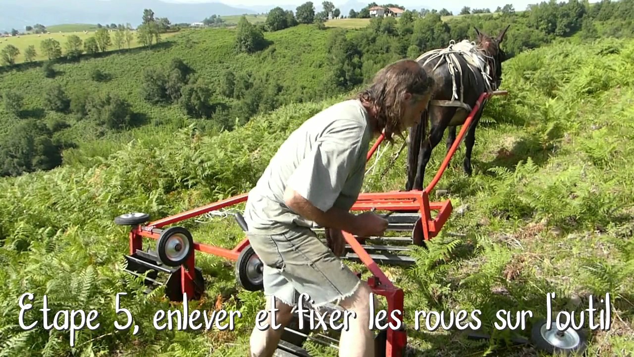 Le Brise fougères