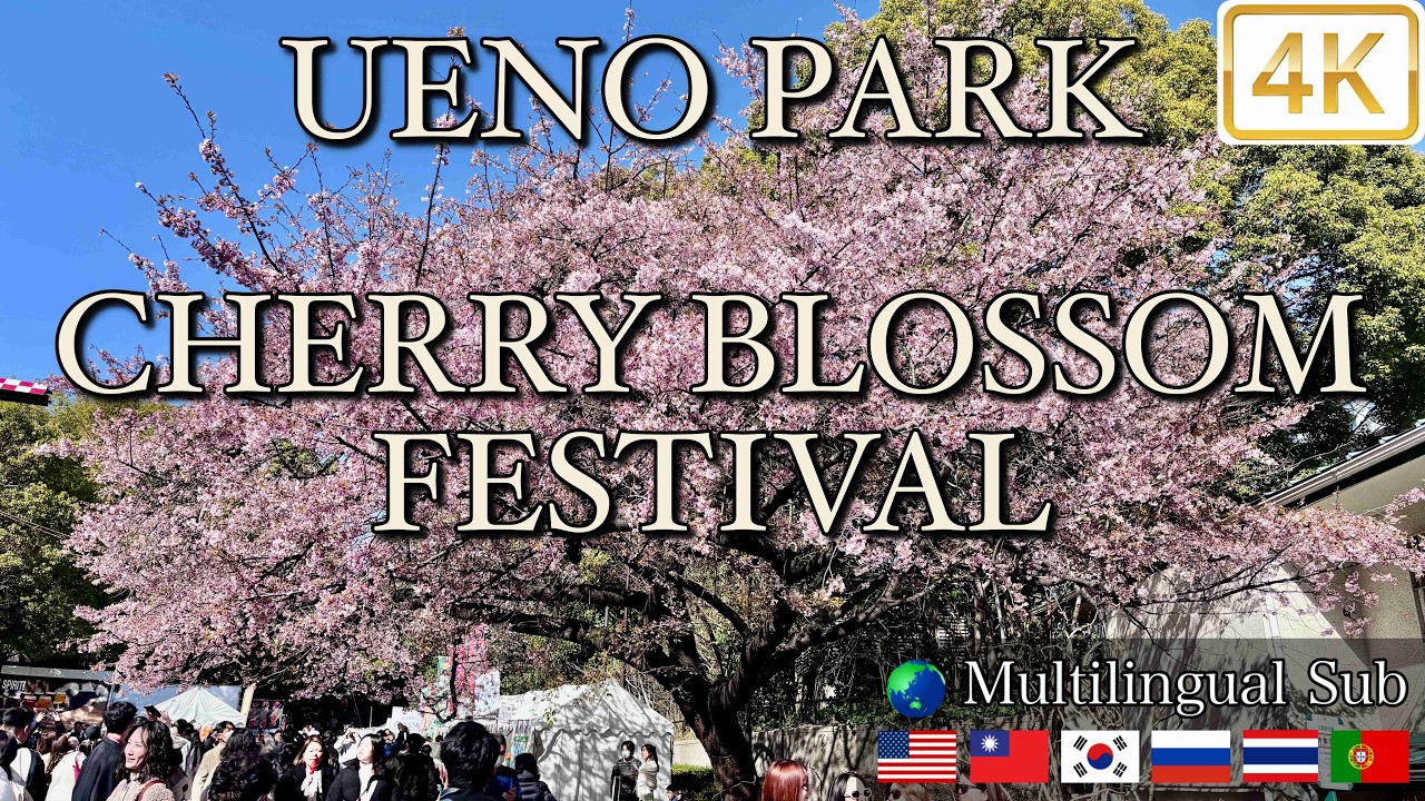 うえの桜フェスタ 初日🌸 3/14/2026 UENO PARK CHERRY BLOSSOM FESTIVAL Day1 Tokyo 東京 4K