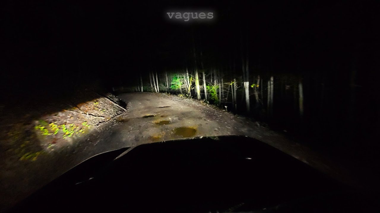 Driving Big Frog Wilderness in the Dark Playing La Femme Vagues