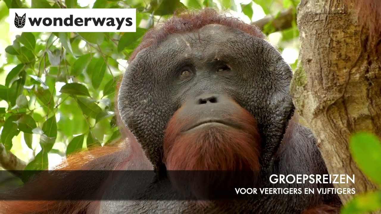 Wonderways groepsreizen voor 40+ en 50+