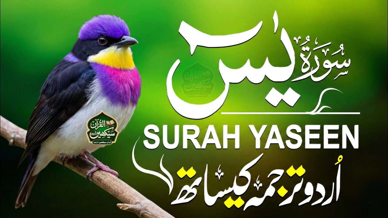 Surah Yaseen With Urdu Translation By Qari Mansoor Ghaznawi I Urdu And Hindi Tarjuma