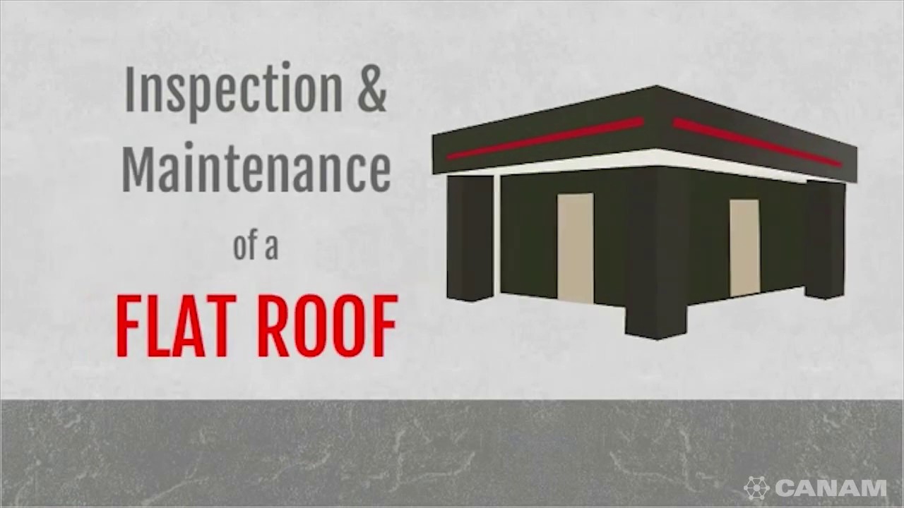 5 Keys Tasks to Perform When Inspecting your Flat Roof