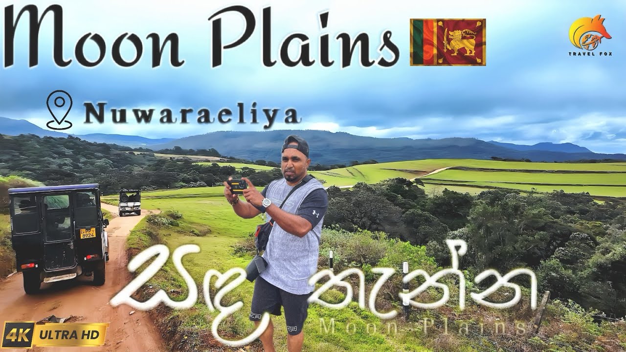 Moon plains nuwaraeliya srilanka / සඳතැන්න නුවරඑළිය ​⁠🇱🇰@Travel_Foxxx #travel