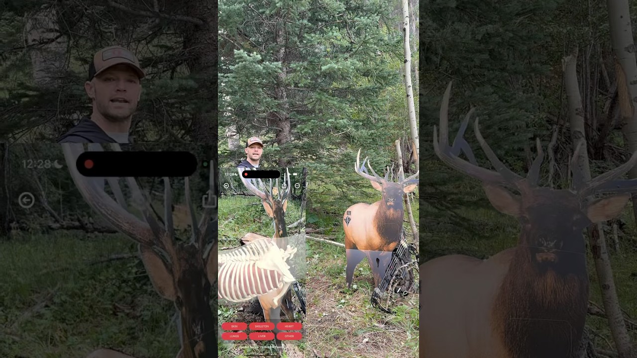We just turned a 2D elk target into a 3D anatomy trainer&hellip; with ONE tap. 🦌 #archery #hunting #QuivAR