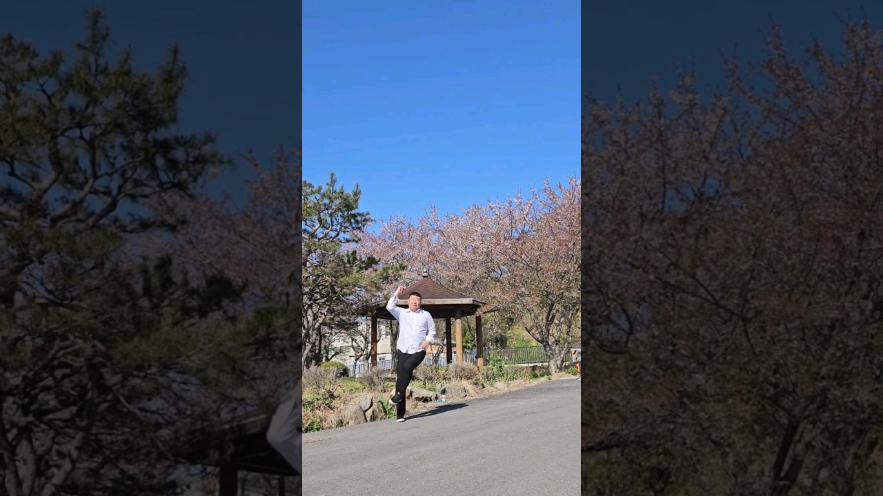 (전남목포) 벚꽃이 이뻐서 웬위디스코 &times; 철없던 사랑 mix #shorts #웬위디스코 #철없던사랑