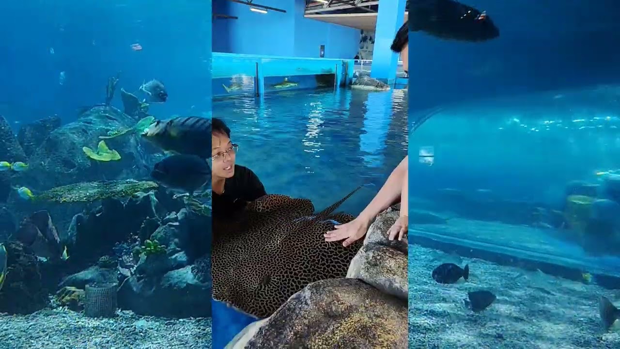 Euna at Ocean Park💜