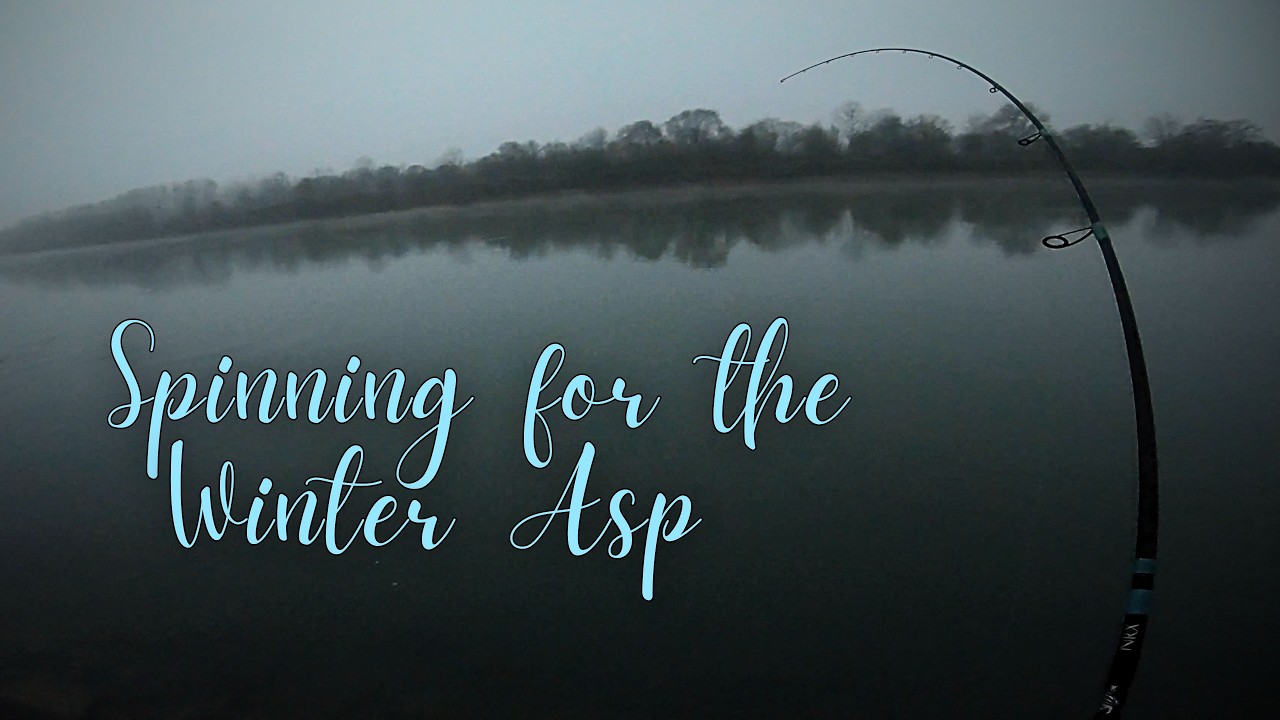 Spinning the Po River for the Winter Asp