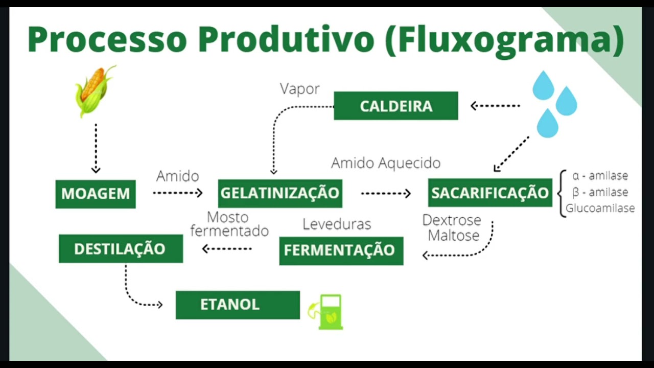 Visita virtual à indústria de etanol de milho