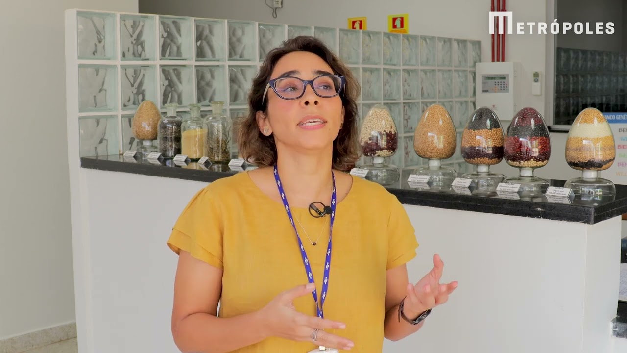 Como a Embrapa conserva a hist&oacute;ria gen&eacute;tica da agricultura no Brasil