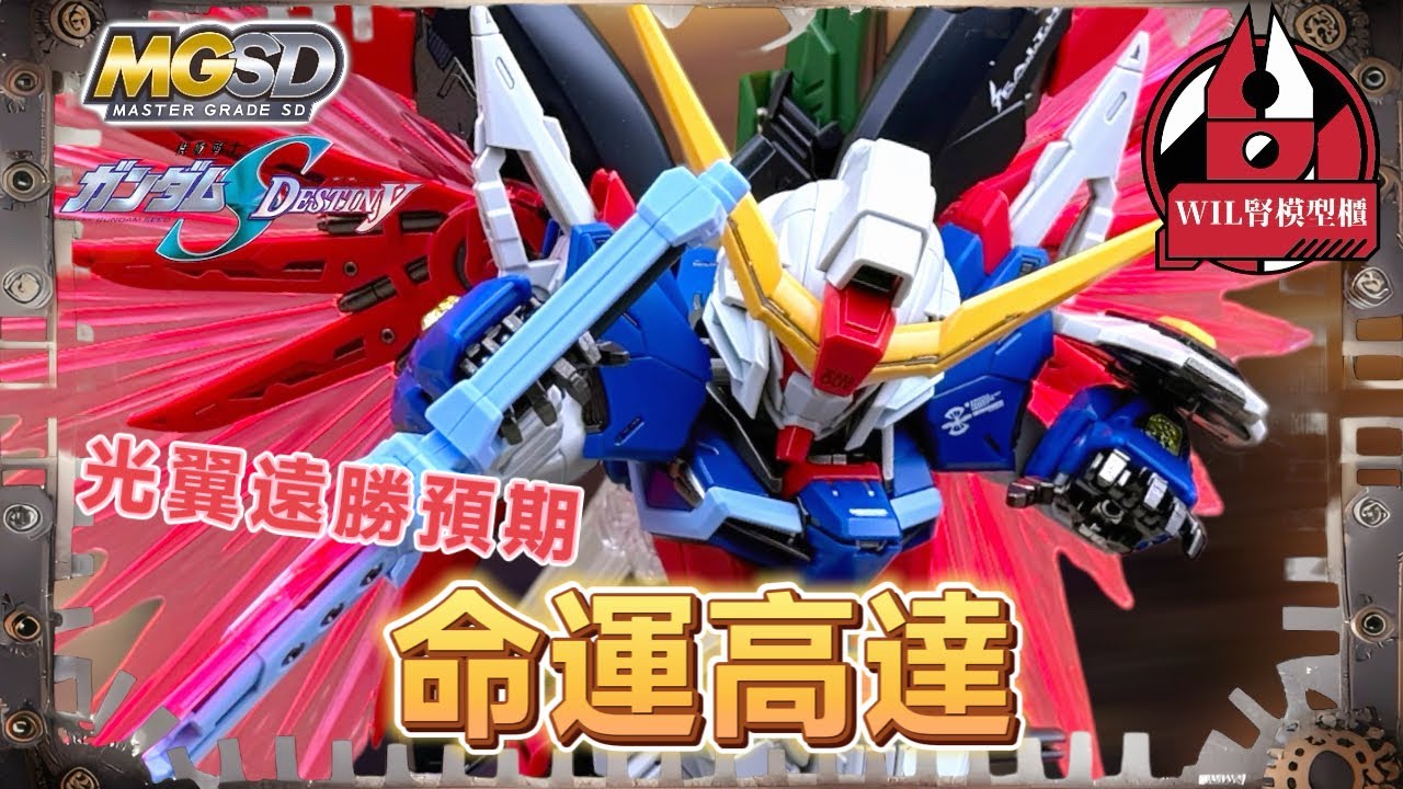 【Wil腎模型櫃】 繼續高質素出品！MGSD命運高達【部份塗裝】 光之翼效果實物遠超官圖！#高達 #gunpla #gundamseed #destinygundam 