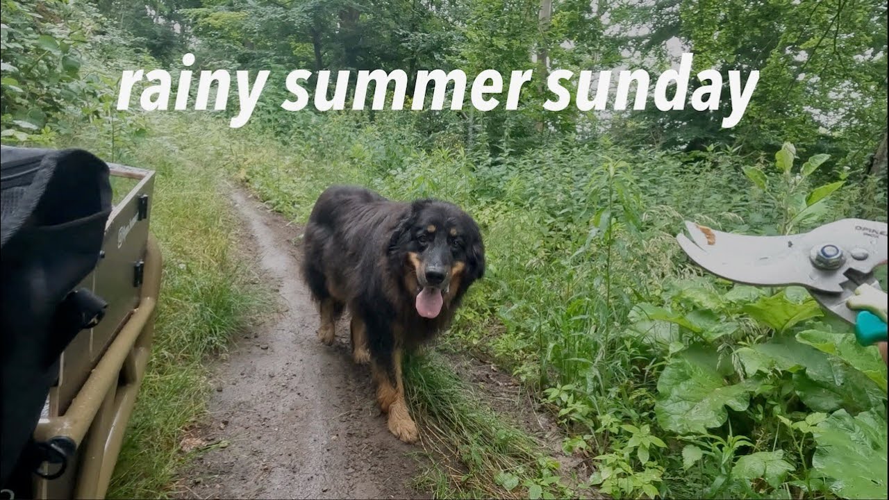 rainy summer sunday