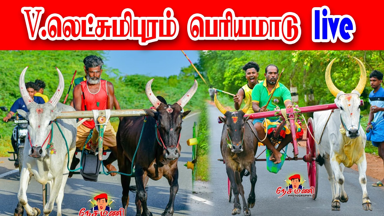 V.Letchumipuram periyamadu live 2026