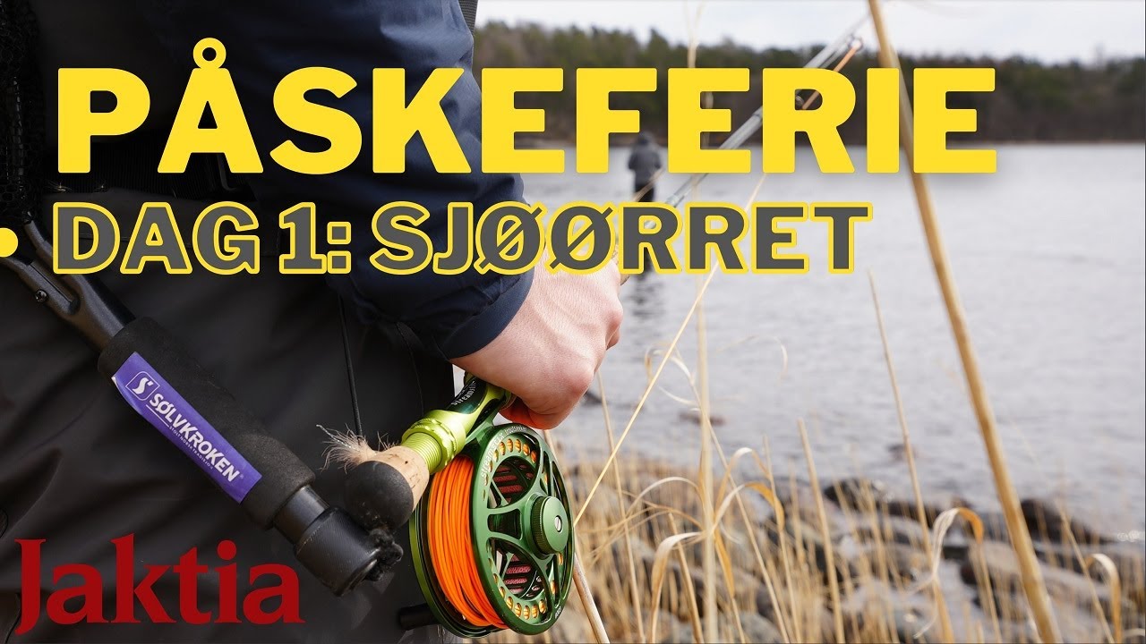 Sjøørretfiske i Oslofjorden - Påskeaktivitet for store og små