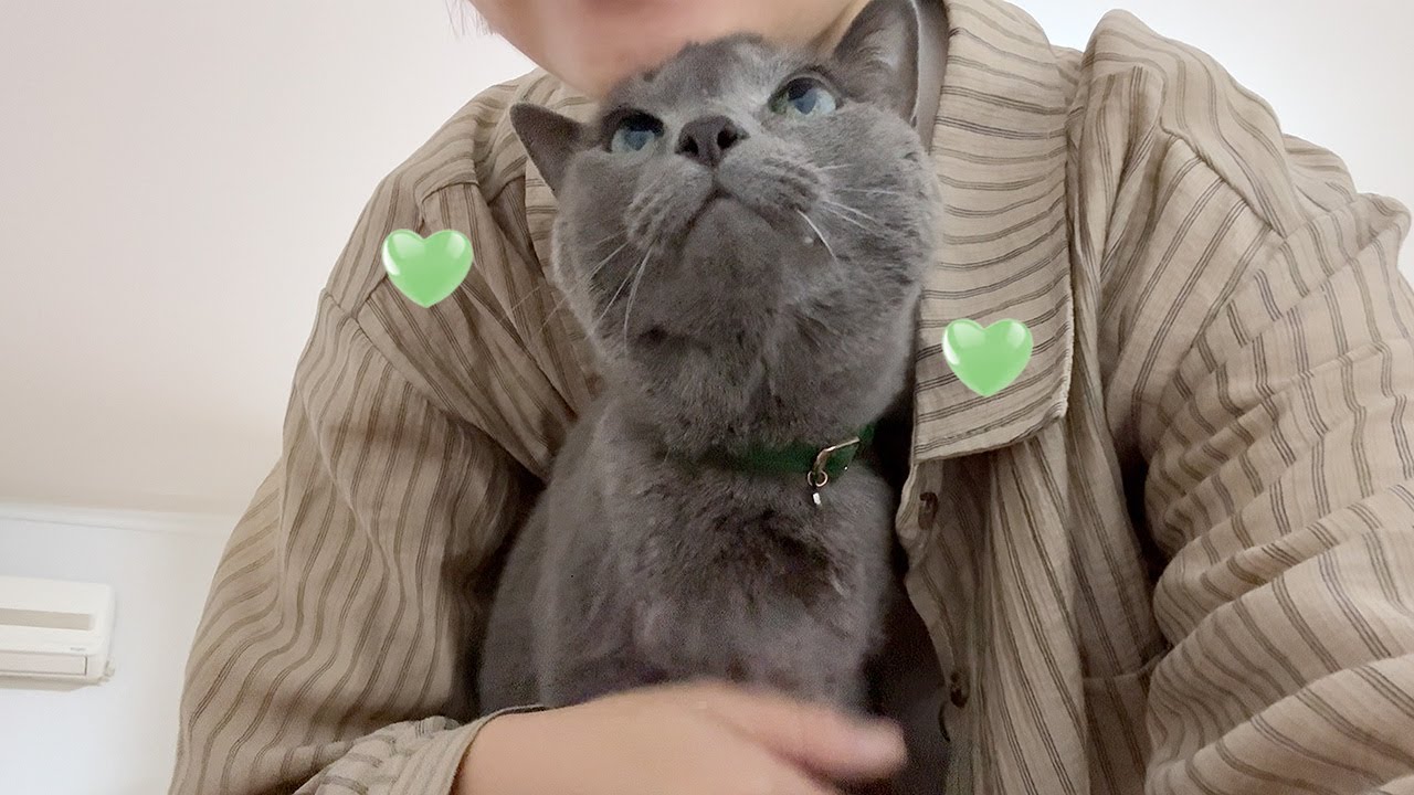 아무 일 없어서 너무나 감사했던 5일…