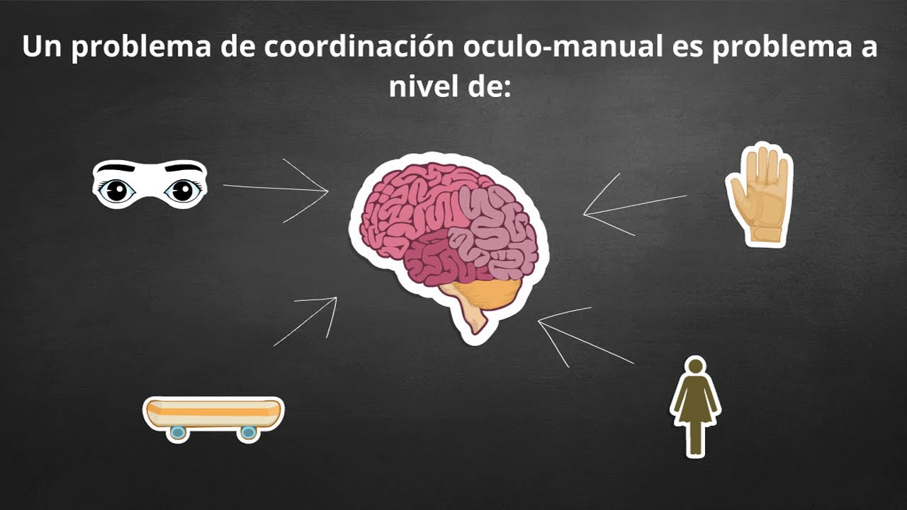 ¿Qué es la coordinación oculomanual?