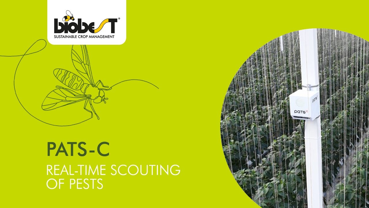 Pats-C | Real time scouting of pests