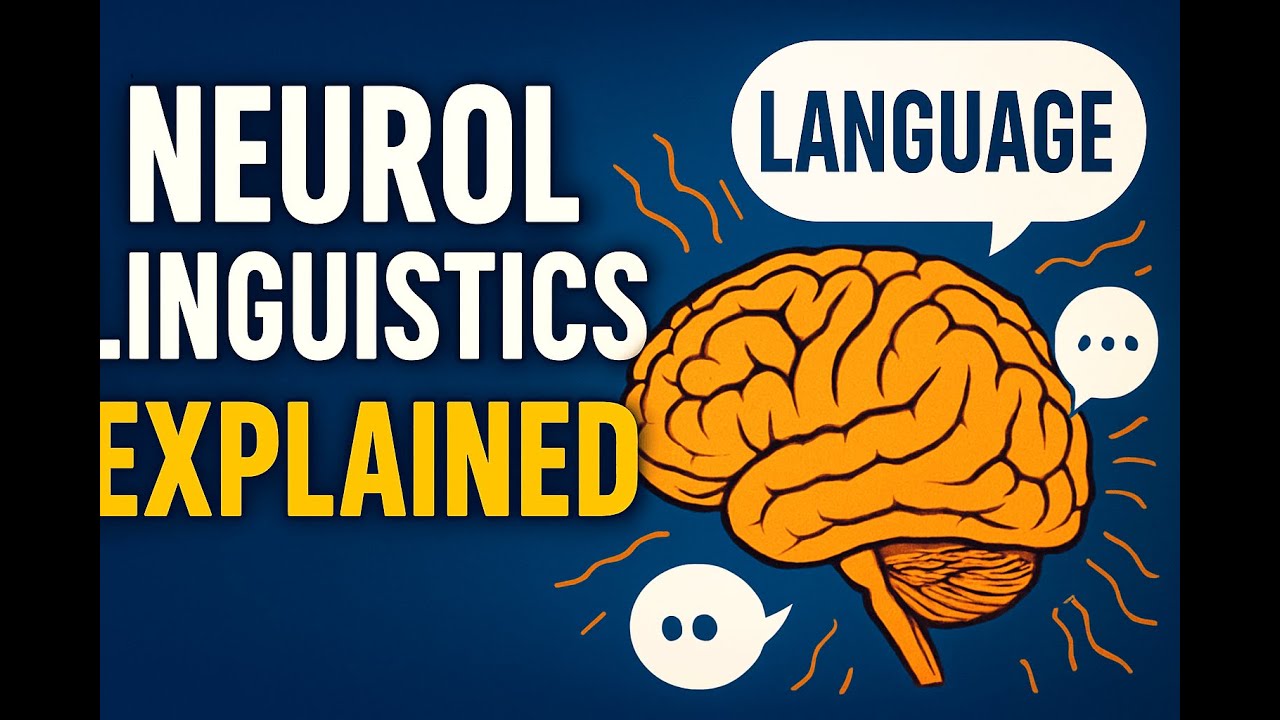 How Your Brain Translates Language (Neurolinguistics)