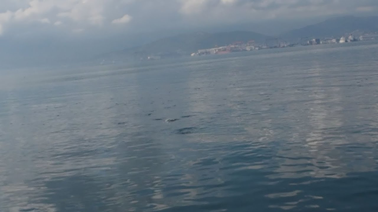 Рыбалка с надувной лодки. Рыбалка с плавающими над водой головами. Рыбалка везде.