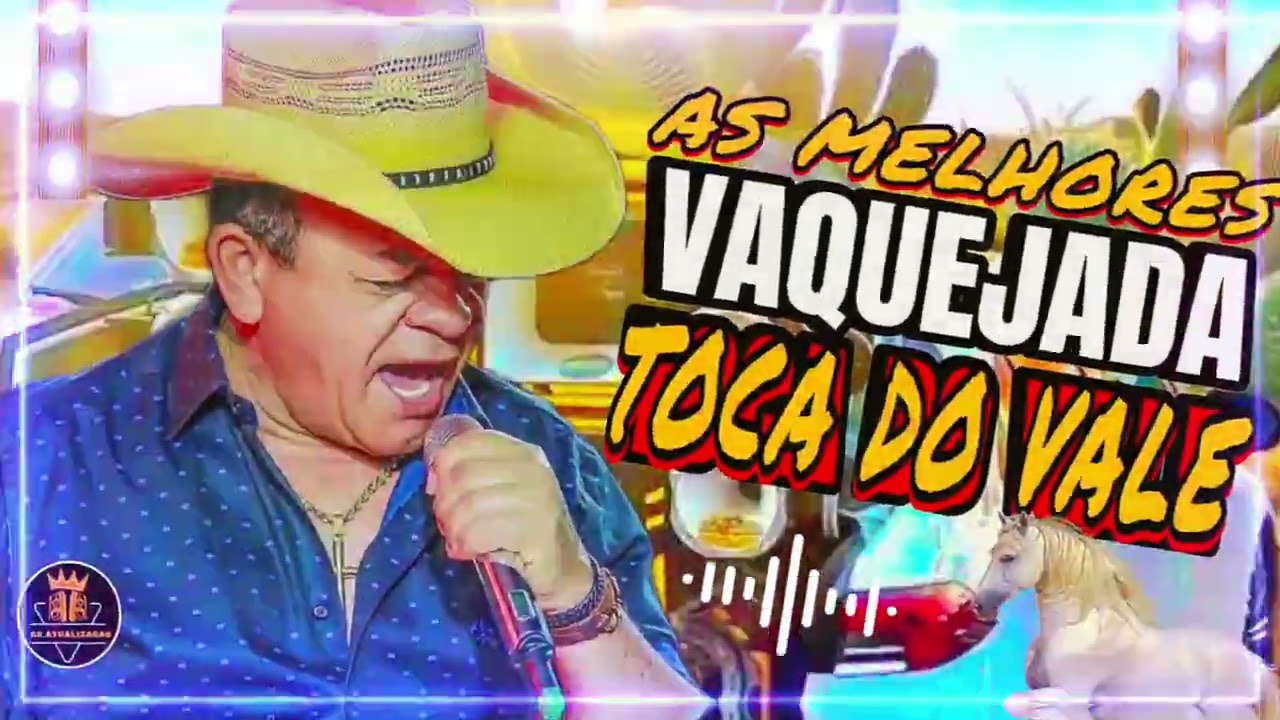 SO AS MELHORES TOCA DO VALE 2025 -100% ATUALIZADO - FORRO DE VAQUEJADA 2025 - BLACKCDS 2025