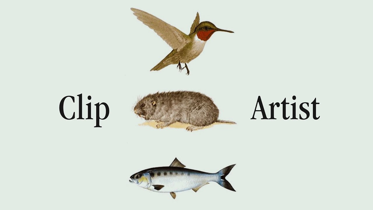 Clip Artist
