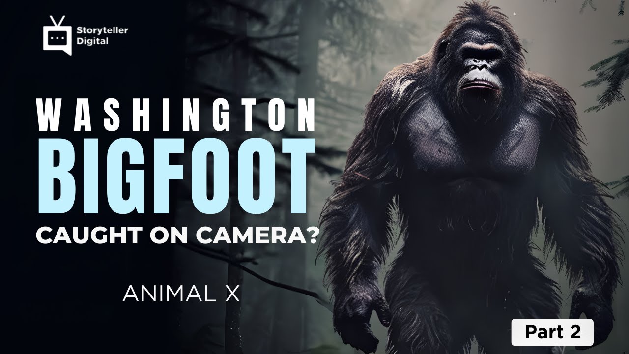 Bigfoot Caught on Camera?! BFRO Expedition Makes GROUNDBREAKING DISCOVERY in Washington!