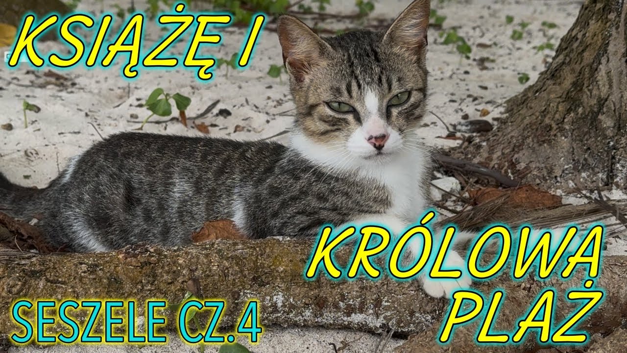 Seszele na własną rękę cz. 4 La Digue - Książę na królowej plaż. Najpiękniejsze plaże Seszeli.