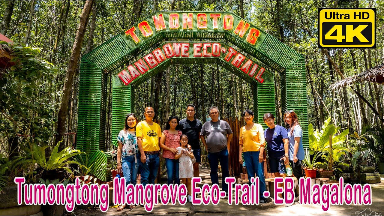 Tumongtong Mangrove Eco-trail - EB Magalona, Neg. Occ