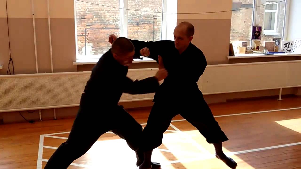 Кото-рю 虎倒流 Koto ryu