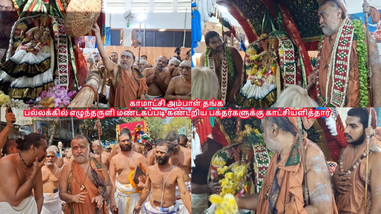 காமாட்சி அம்பாள்தங்கபல்லக்கில் மோகினி திருக்கோளத்தில்பல்வேறு இடங்களில்பக்தர்களுக்கு காட்சியளித்தார் 