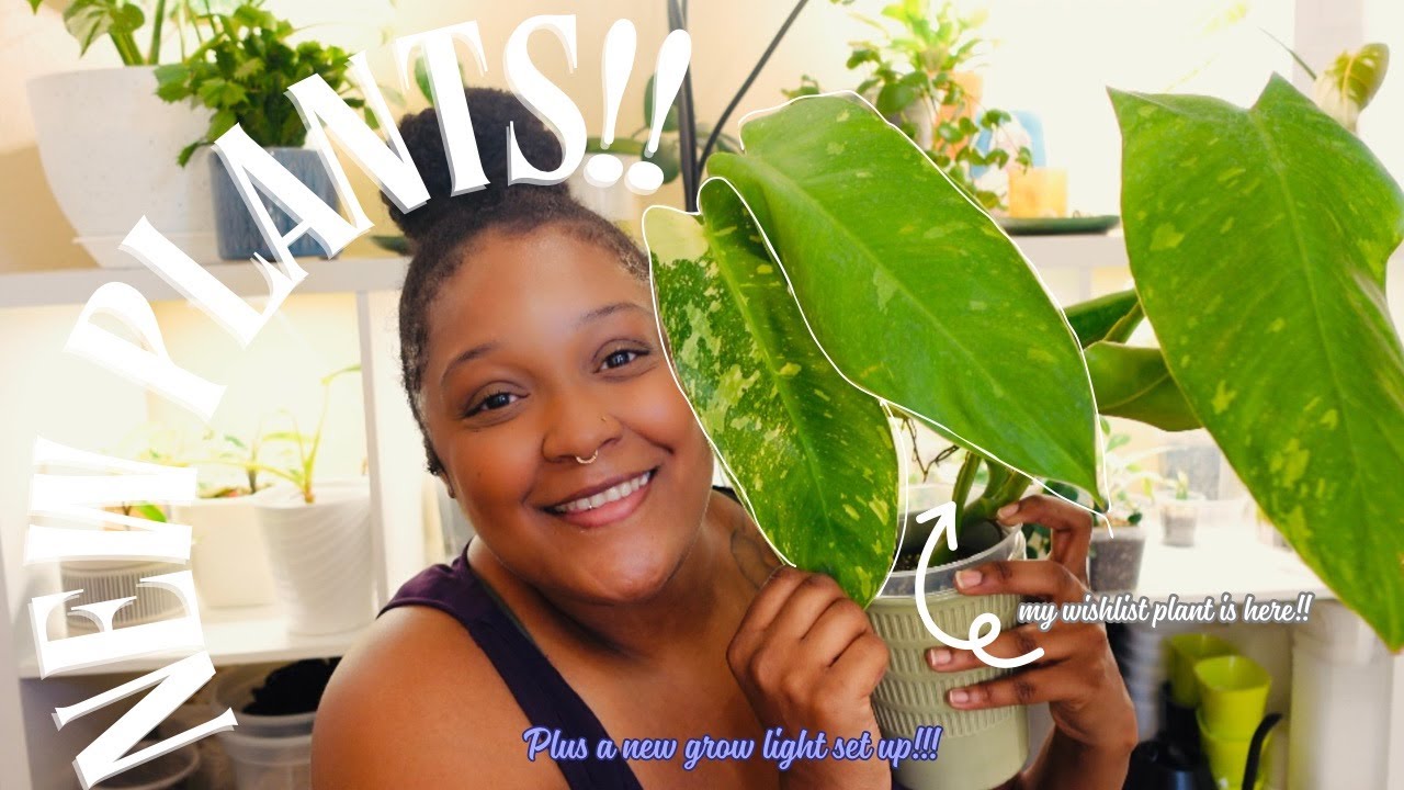 New Plants 🌱 + NEW grow light 💡@sansilighting1774  + And a tour of my NEW planty corner 🪴💕