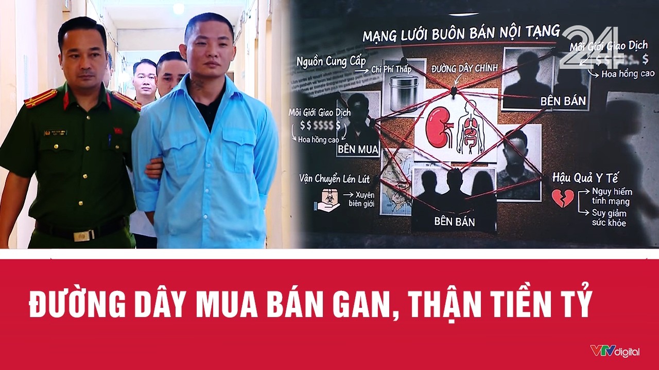 Đường d&acirc;y mua b&aacute;n gan, thận tiền tỷ | VTV24